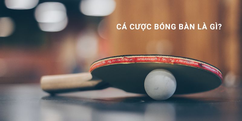 cá cược bóng bàn