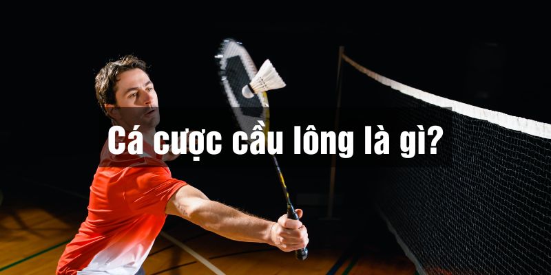 cá cược cầu lông