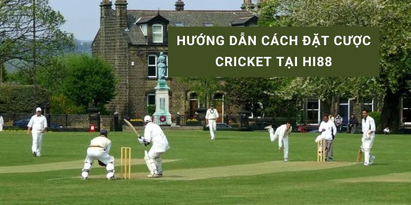 cá cược cricket trực tuyến