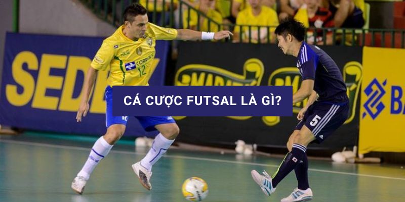 cá cược futsal