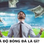 Cá độ bóng đá là gì? Tổng hợp những điều cần biết cùng Hi88 