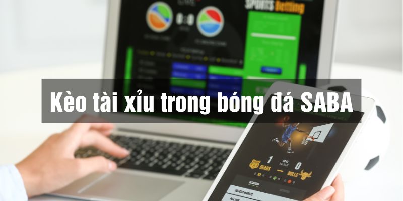 cá độ bóng đá saba