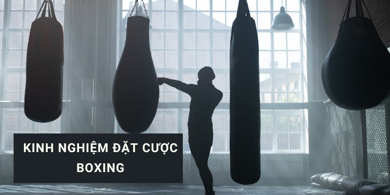 cá độ boxing