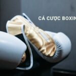 Cá cược boxing online tại Hi88 cùng kinh nghiệm đặt cược hiệu quả 2025