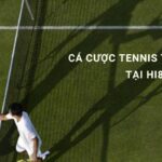 Cá cược tennis tại Hi88 hướng dẫn chi tiết từ A đến Z cho người mới