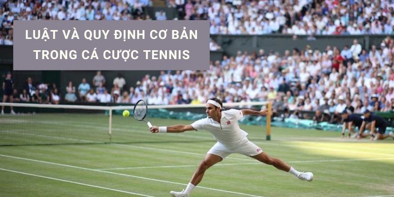 cách cá độ tennis