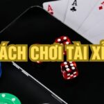 Cách chơi tài xỉu cơ bản đến nâng cao cho bet thủ