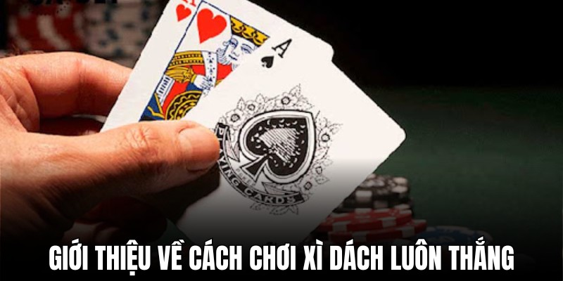 Cách đánh bài xì dách thắng