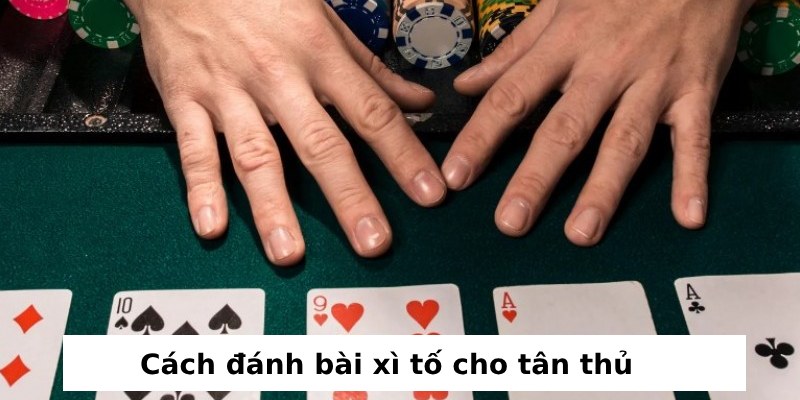 cách đánh bài xì tố