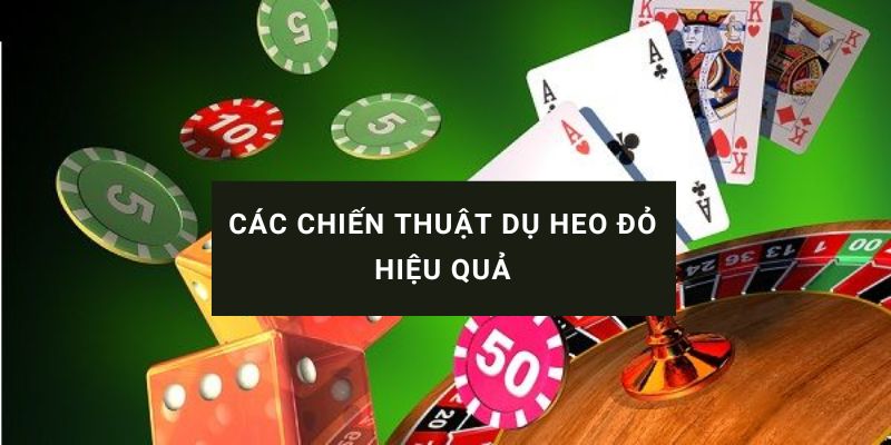 Chiến thuật dụ heo đỏ 