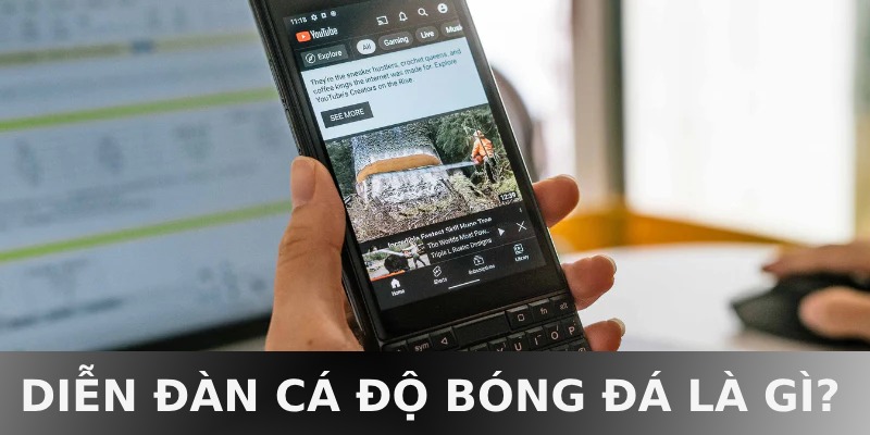 diễn đàn cá độ bóng đá