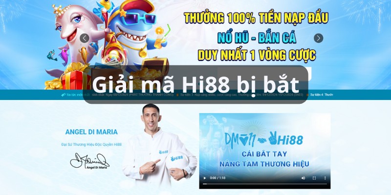 hi88 bị bắt