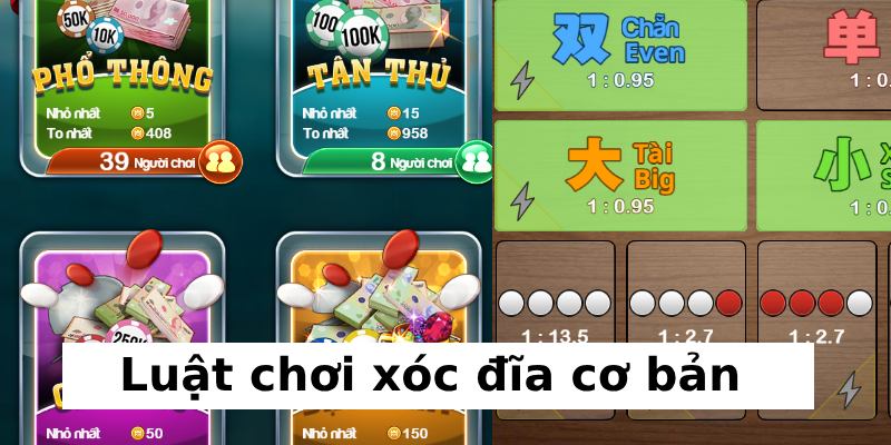 luật chơi xóc đĩa