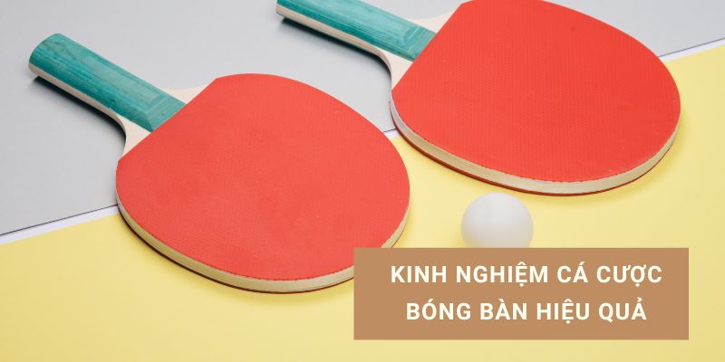 luật cược bóng bàn