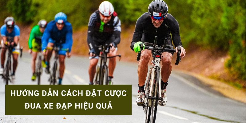 luật cược đua xe đạp