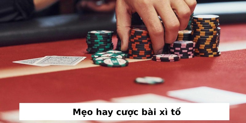 mẹo hay cược bài xì tố