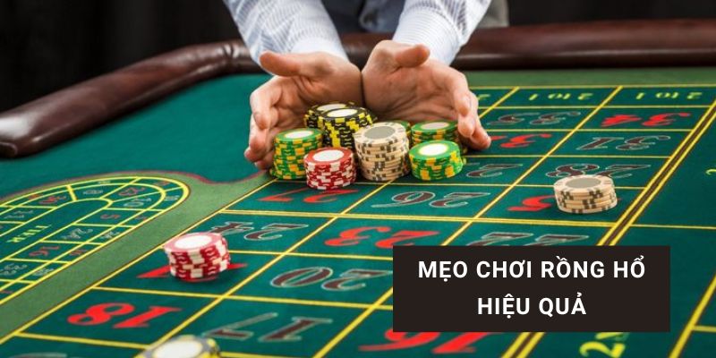 rồng hổ là gì