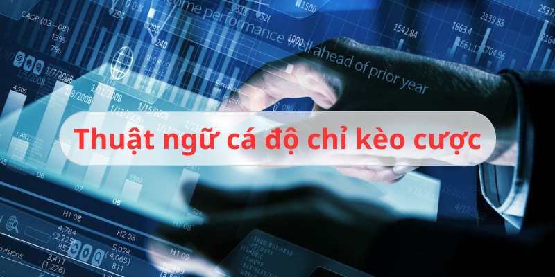 thuật ngữ cá cược bóng đá