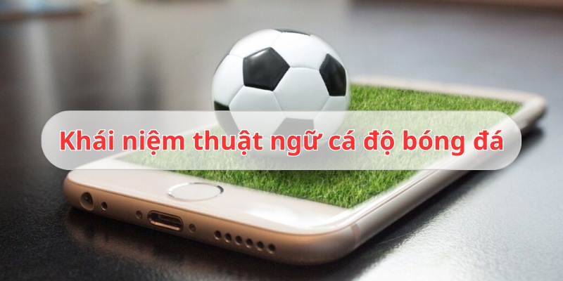 thuật ngữ cá độ bóng đá